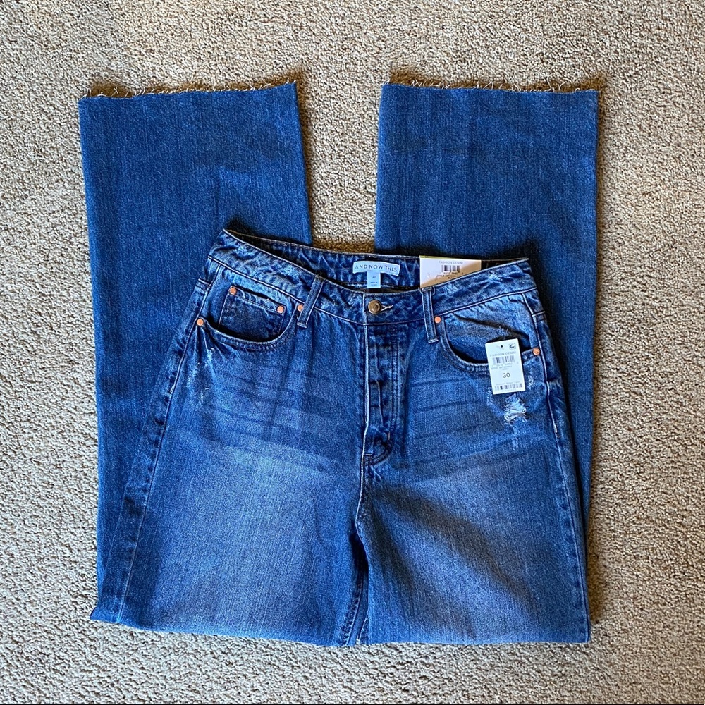 NWT And Now This Frayed Cotton Wide-Leg Button Fly Jeans, size 30w